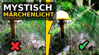 Luminar Neo Tutorial: Mystisch + Sonnenstrahlen – so machst du Märchenlicht
