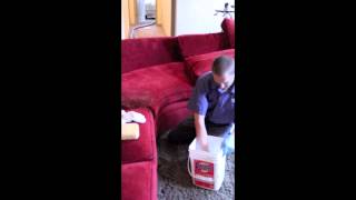 How to clean up vomit: healthy home ...