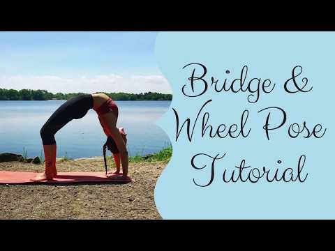 Bridge & Wheel Pose - Yoga Backbend Tutorial