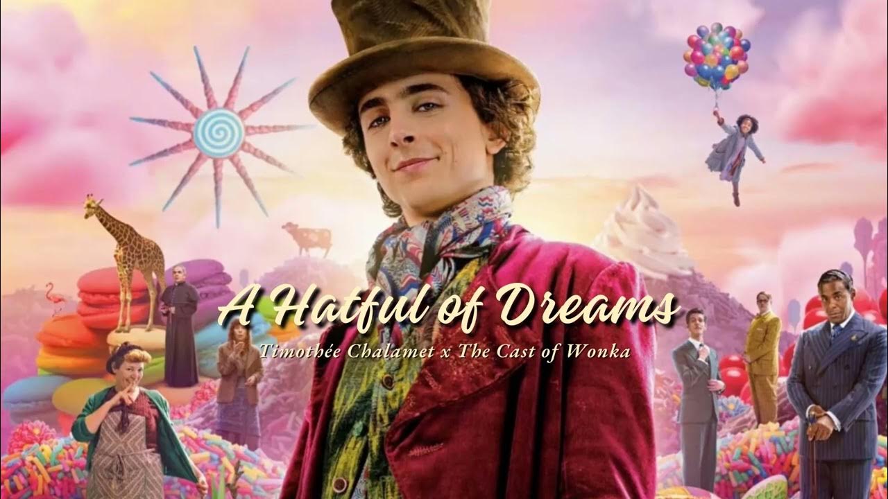 Vietsub A Hatful Of Dreams Timoth e Chalamet The Cast Of Wonka vietsub-a-hatful-of-dreams-timoth-e-chalamet-the-cast-of-wonka