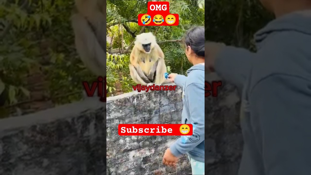 I Bought Funny Monkey Trend 