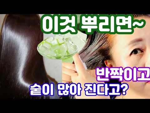 수세미 머릿결을 반짝반짝? 내머리에 알로에 오일~~ 기적의 식물 알로에로? 풍성한 머리와 반짝반짝 윤기나는 머릿결을 가지고 싶으신 분에게 꼭!!! 추천합니다.