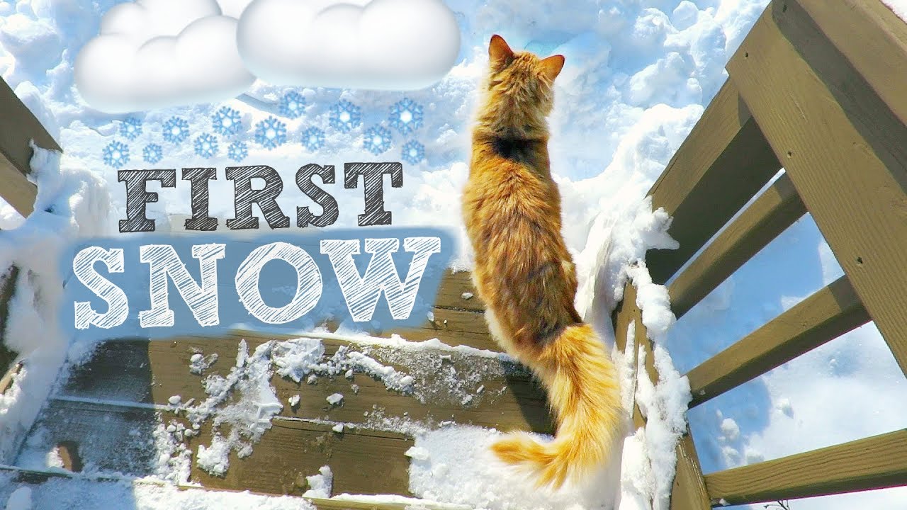 FIRST SNOW of the Season ️ - YouTube