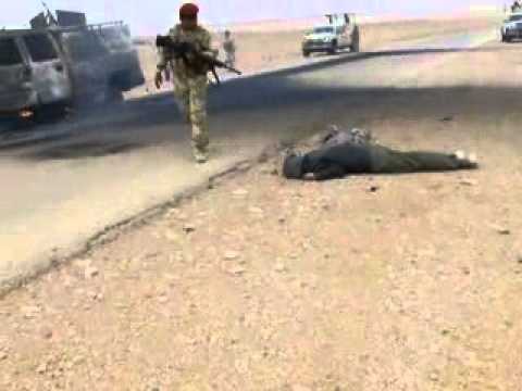 شهداء العراق