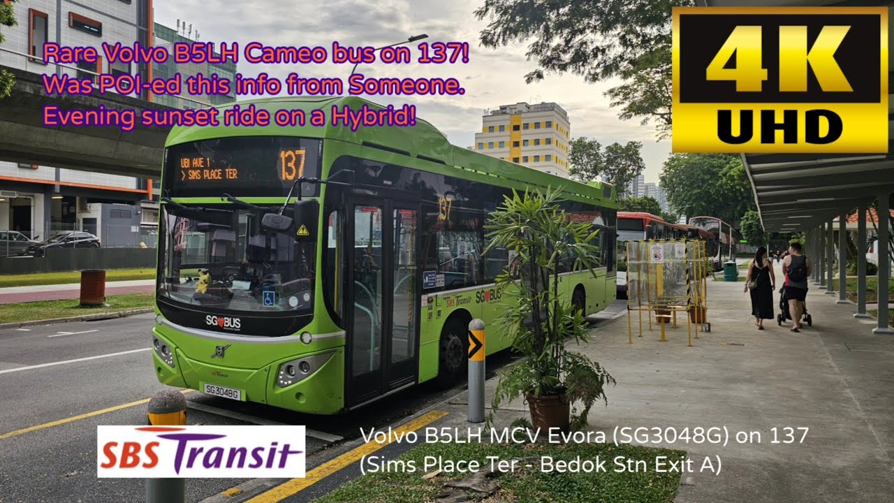 Rare Hybrid Cameo Debut! SBST Volvo B5LH (SG3048G) on 137 (Sims Place Ter - Bedok Stn Exit A)