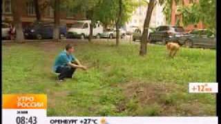 Украли собаку! Пропала собака! Поиск животных. Украли собаку! Пропала собака! Поиск животных.
