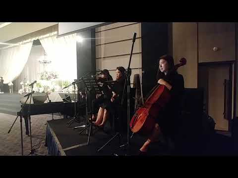하얏트호텔 웨딩연주 클래식4중주 [미녀와야수] 결혼식연주 BGM
