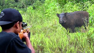 full video‼️perburuan babi hutan liar terbaik💥 tembakan terbaik dalam menangani hama petani