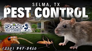 Selma, TX Pest Control Service (210) 547-8410 - Stride Pest Control