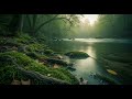 Deep Sleep Meditation: Serene Nature Sounds for Ultimate Relaxation & Insomnia Relief | ASMR Ca
