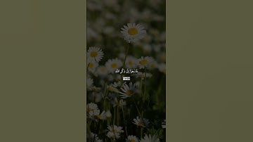 تلاوة جميلة بصوت القارئ اسلام صبحي من سورة الجمعة #اسلام_صبحي
