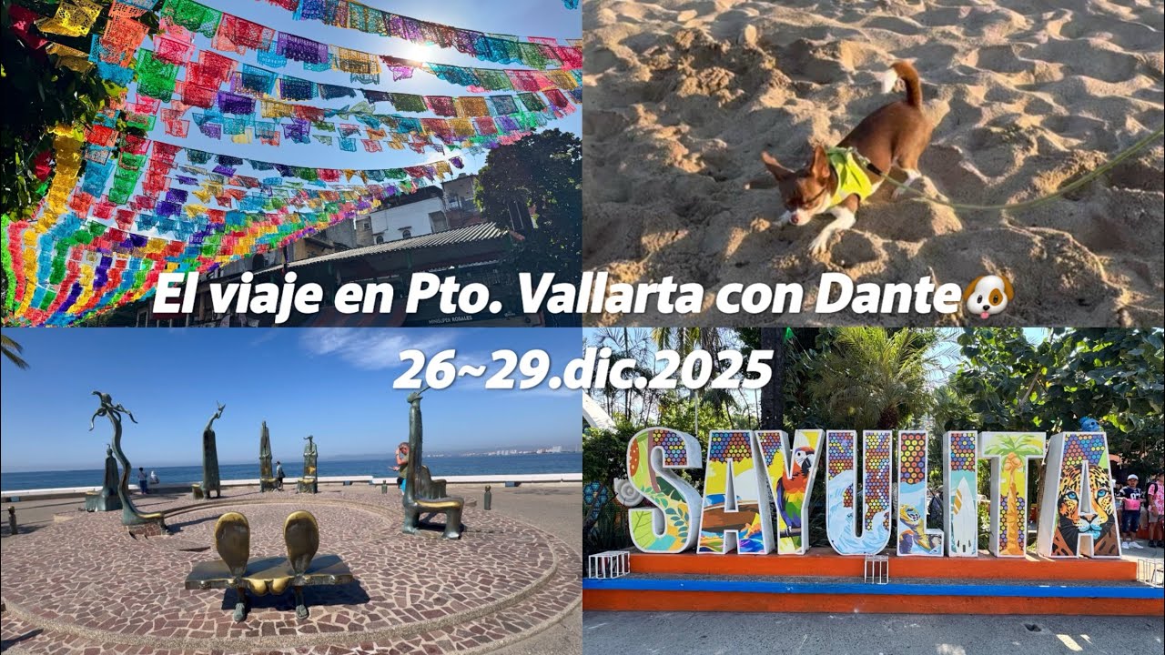 🇲🇽 | 25.12.26~29 멕시코 푸에르토 바야르타 여행 (📍Friendly Fun🏨 | 사율리타, Sticky Finger🦞, Oyster Grill🦪, Sendo🍣 )