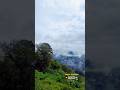 Kodaikanal ❤️😚 #kodaikanalclimate #kodaikanalplaces #kodaikanalvlog #likeandsubscribe #viralshort
