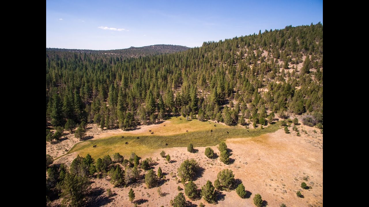 Modoc County Ranching Northern California | Joseph Creek Basin Ranch, Modoc County CA - YouTube
