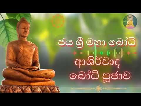 මහා බලසම්පන්න ජය ශ්‍රී මහා ආශිර්වාද බෝධි පුජා | Jaya Shree Bodhi Ashirwada Bodhi Pooja | Bodi Puja