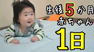 【Vlog】生後５ヶ月の赤ちゃんとの１日　授乳・離乳食・おむつ替え・散歩・寝返り・おもちゃ遊び・絵本・お昼寝～A day with a five months old japanese baby