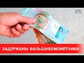 Задержаны фальшивомонетчики | Зона Х