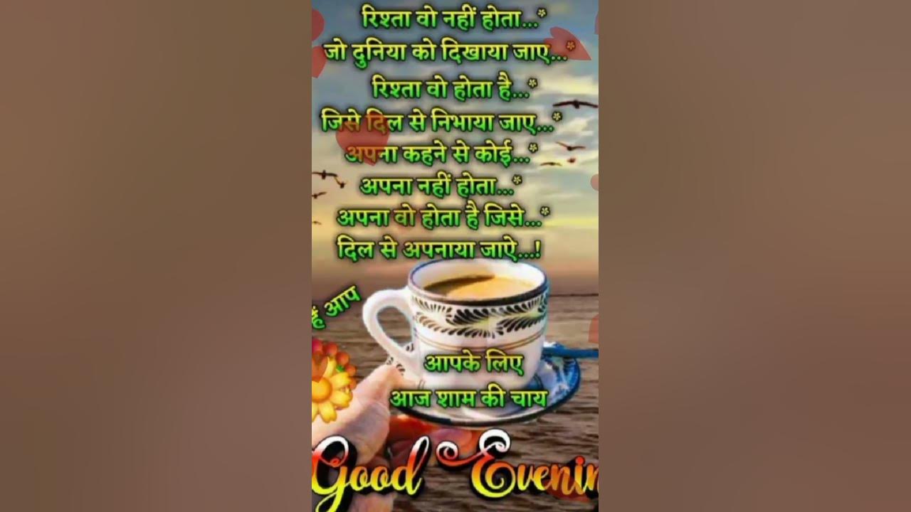 Good evening status video #shortvideo #goodevening #statusvideo Good evening status video #shortvideo #goodevening #statusvideo