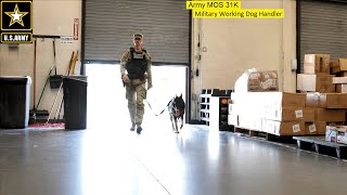 Army Dog Handler31KMilitary Working Dog Handler
