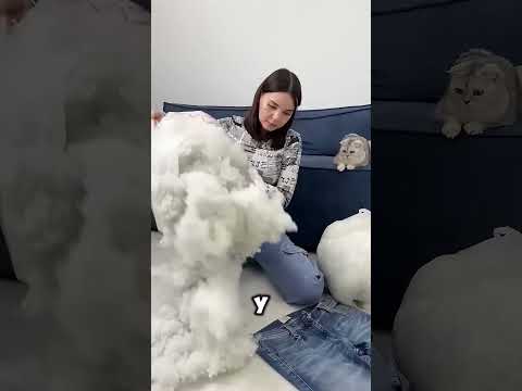 Котёнок не ожидал такой подарочек 😻🛏️ #shorts