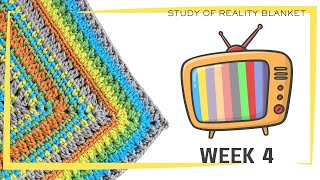Study of Reality Blanket: WEEK 4 Full Crochet Tutorial