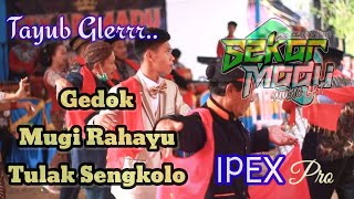 GEDOK - MUGI RAHAYU - TULAK SENGKOLO | SEKAR MADU MUSIC | IPEX Pro