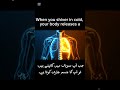 99% log ye nahi jante 🤯🔥💯 cold burnbody #youtubeshorts #weightloss