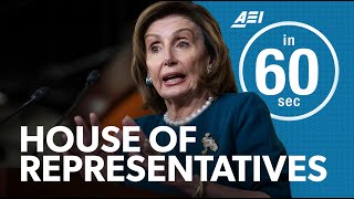 Does the House need more representatives? | IN 60 SECONDS