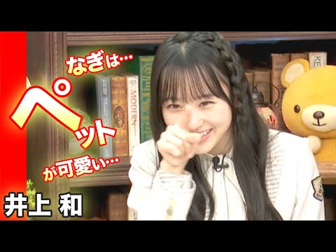 和はペット！乃木坂46の井上和と一ノ瀬美空