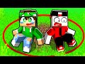 MINECRAFT MA SIAMO BLOCCATI IN UN CERCHIO!