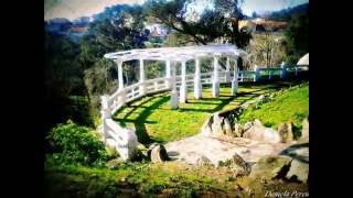 Parque de São Caetano Vilar do Paraíso danielapereirafotografiagaia