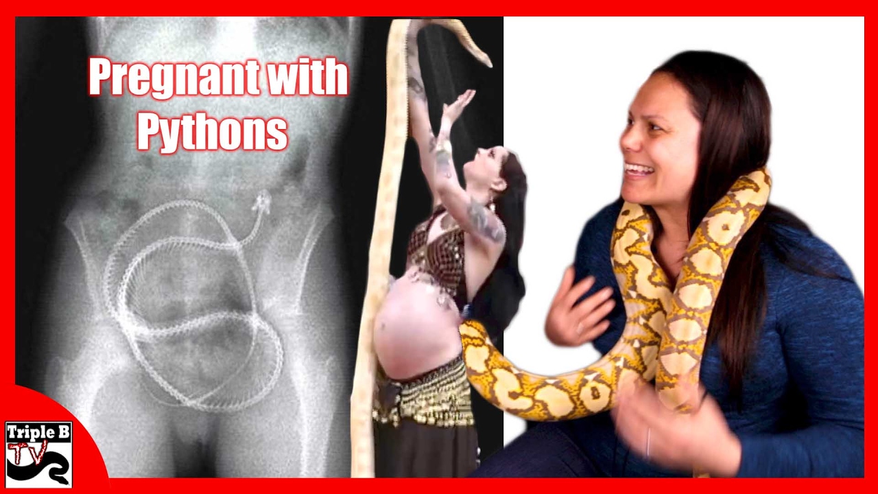 video phone beyonce mp3 Pregnant with Pythons : Triple B TV - Ep.76