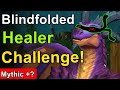 I Healed Mythic Plus Blindfolded For Charity!