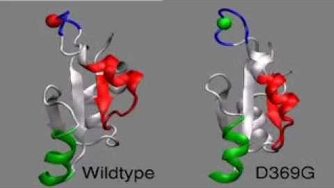 Molecular Simulation of BK Ion Channel
