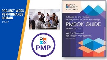 Project Work Performance Domain