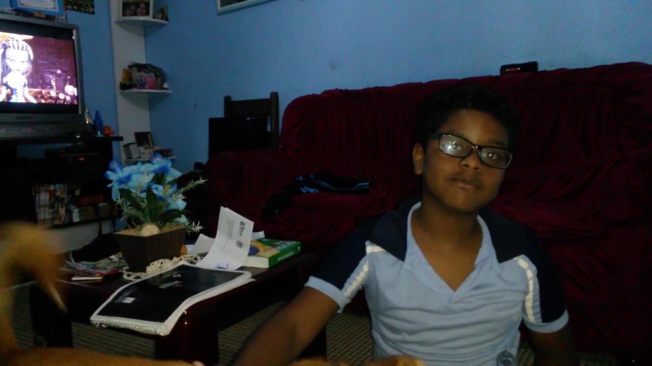 Como fazer o seu pigpin