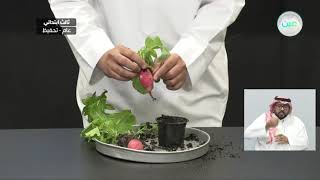 النباتات واجزاءها - العلوم - ثالث ابتدائي