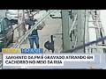 Sargento da PM atira em cachorro que é encaminhado com urgência a clínica veterinária | Bora Brasil