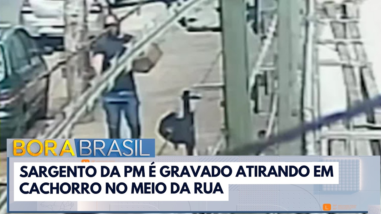 Sargento da PM atira em cachorro que é encaminhado com urgência a clínica veterinária