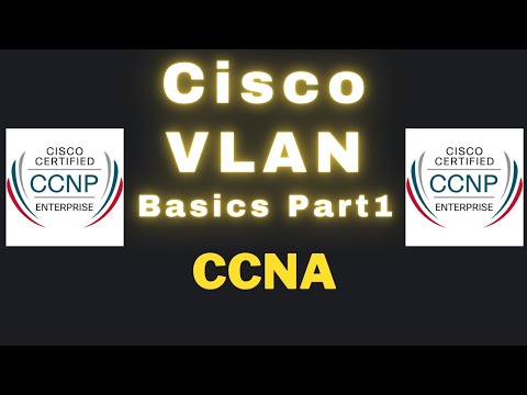 VLAN Basics Part1 | CCNA | CCNP