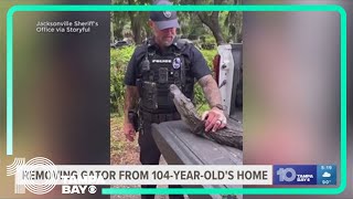 Alligator removed from 104-year-old's home