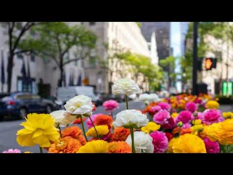 216 East 49th Street, New York, NY home video tour
