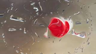 Ternyata Cinta - PADI | Lyrics