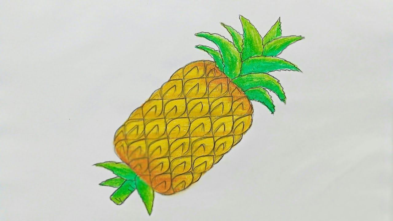 How to draw pineapple step by step ||very easy|| - YouTube