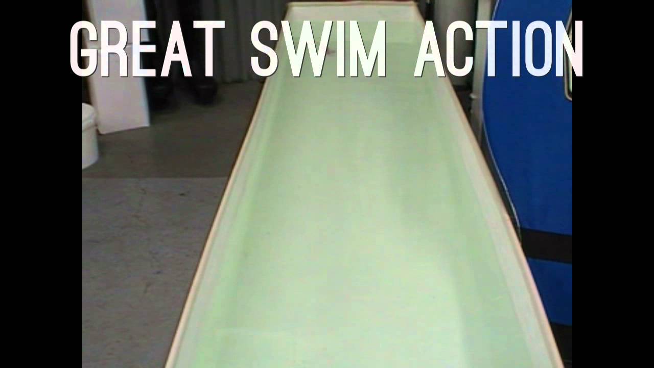 moonfleet angling testing the red gill twin turbo in our showroom test tank