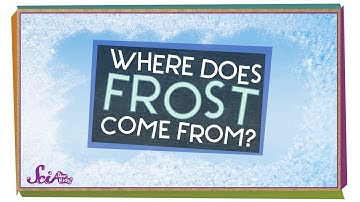 Where Does Frost Come From? | Winter Science | SciShow Kids
