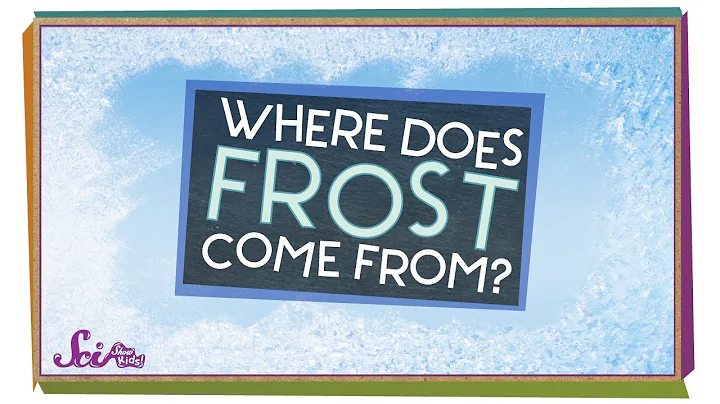 Where Does Frost Come From? | Winter Science | SciShow Kids