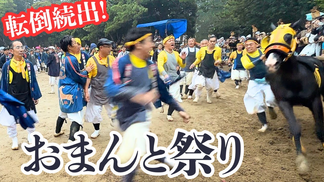 転倒続出！祭り最後！雨の馬場で駆け抜ける全力疾走の勇者たち【高浜おまんと祭り2025】🐎✨｜Takahama Horse Festival