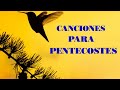 COROS PENTECOSTALES VIEJITOS PERO MUY BONITOS - GRACIAS POR LLEGAR A MI VIDA