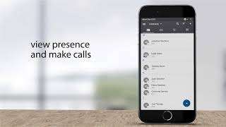 RingLogix - Everything you need to run a VoIP Business screenshot 2